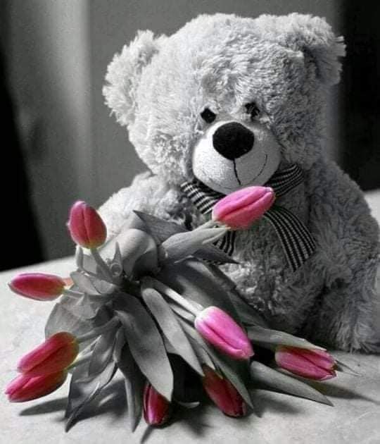 173941099_266245938555056_2313280807048129300_n