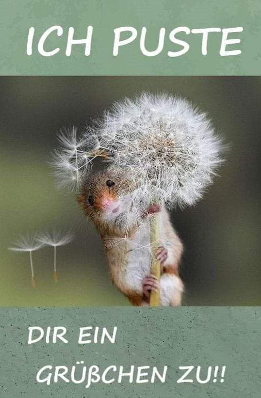 174561112_862197531029579_794616546229210498_n (1)