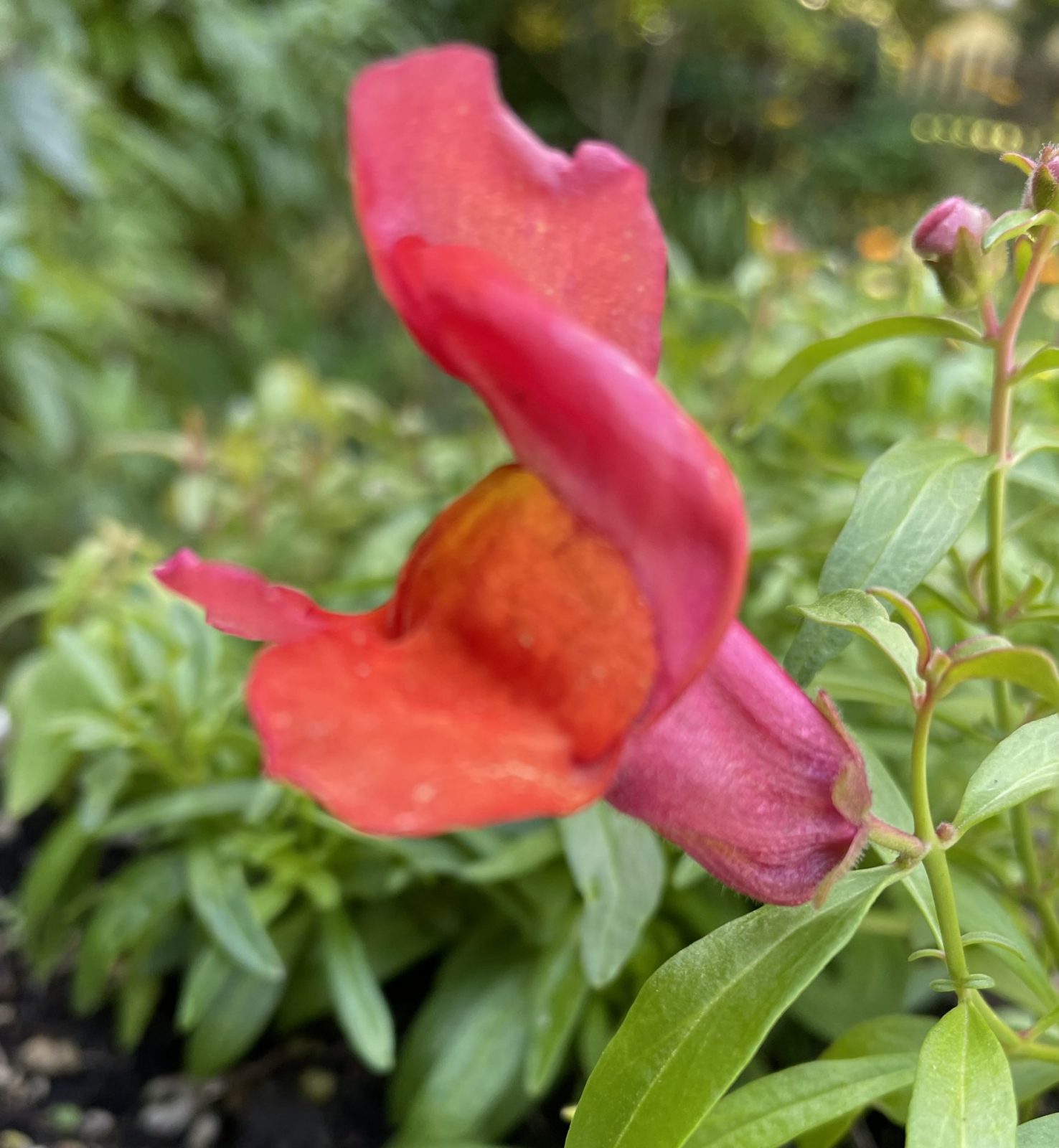 1746750E-206B-443F-9C8F-9986B2F7F221