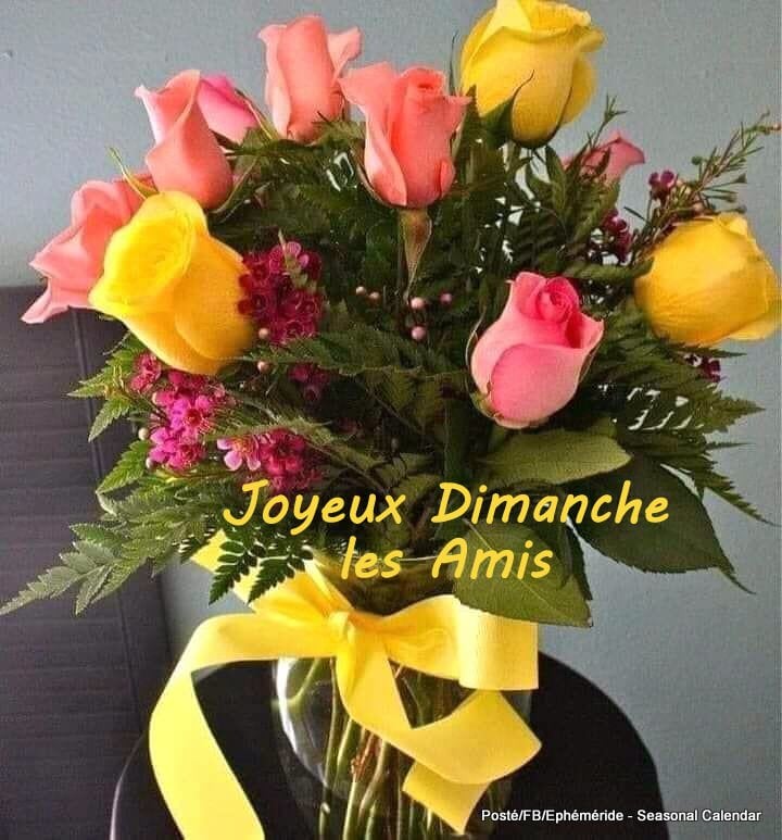 175290020_4152148571501874_7343754651646841686_n