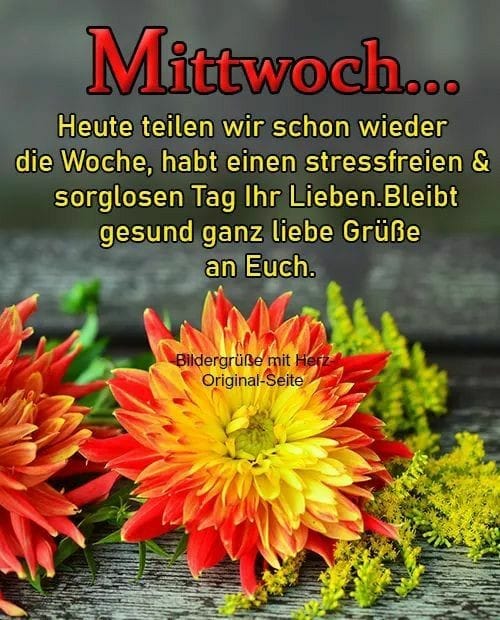 175709522_1213878582378960_5879848498151575568_n (1)