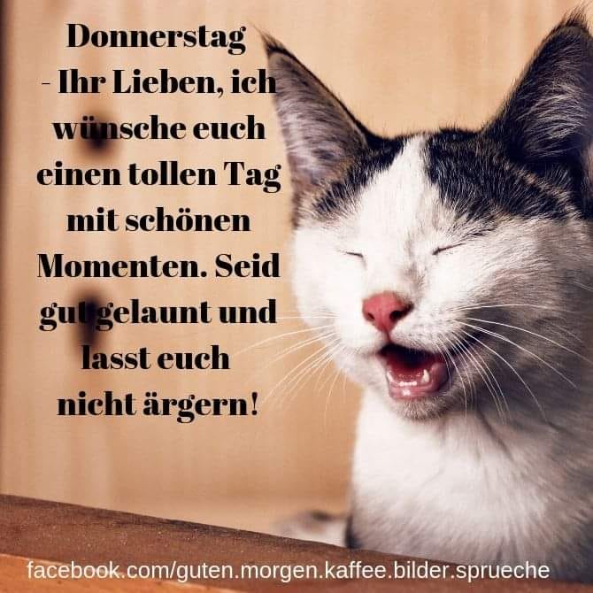 176059990_1214456738987811_5826097638565696906_n (1)