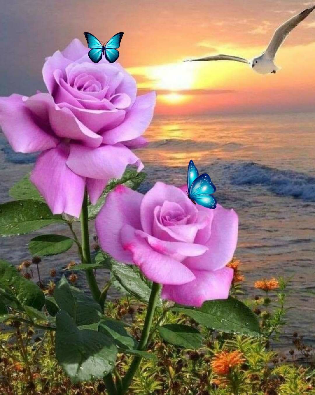 176105166_2864968587090412_590439378974889537_n