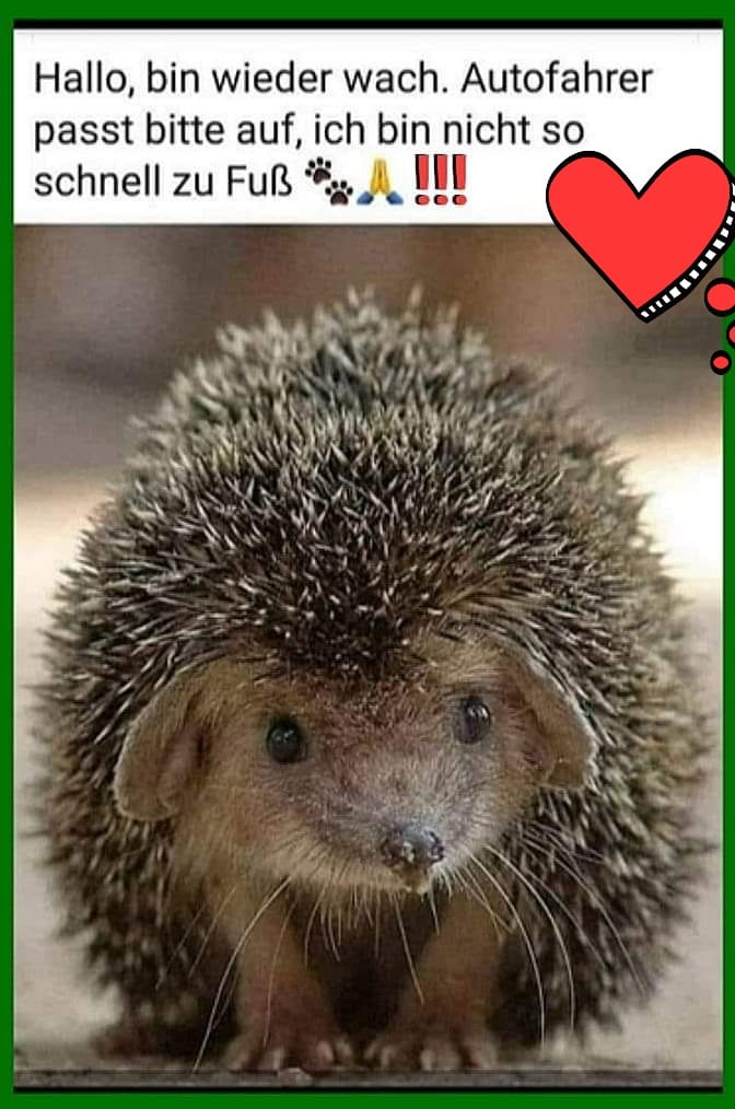 178065898_1212895282498109_7231151739596989352_n