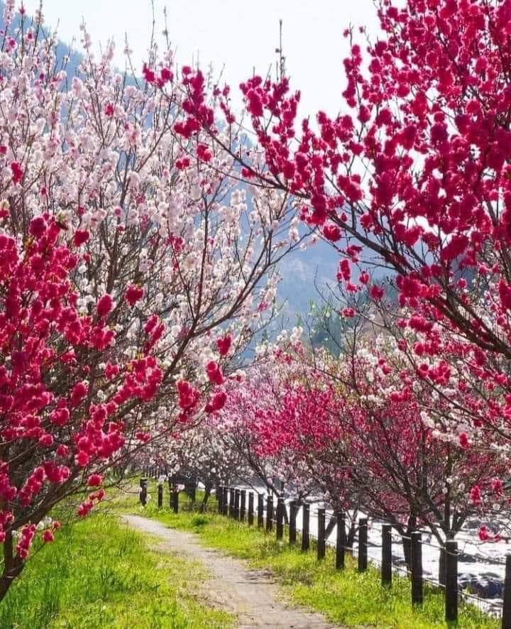 178172915_1213277222459915_3939868815308901892_n