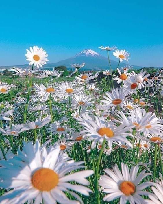 178450911_1212605325860438_8023413553700605578_n