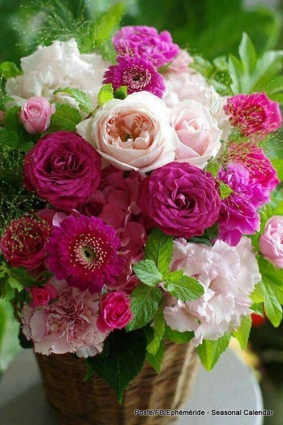 178482316_4175385282511536_5656579383604533806_n