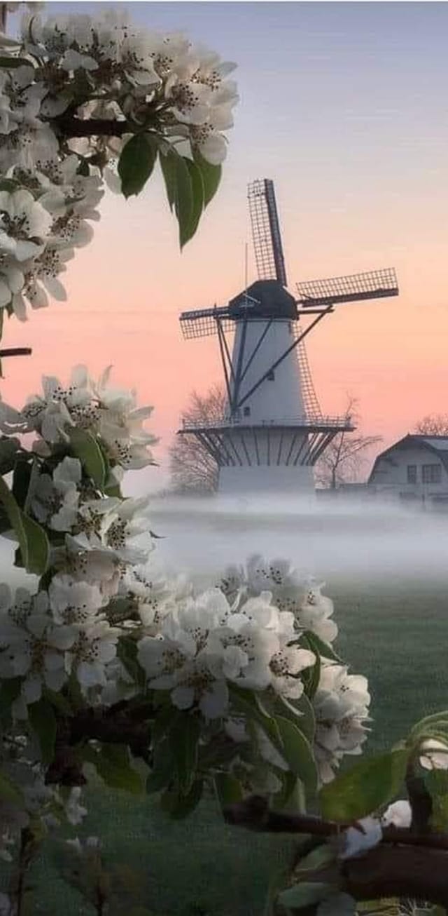 178562761_3968766453216131_2930107692928288318_n