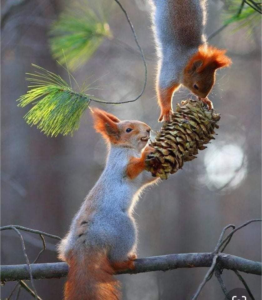 178642633_475235800472000_4305240088623067138_n