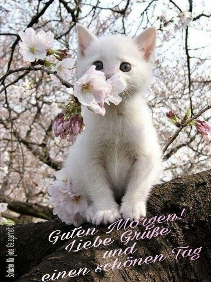 178672625_1213770029077301_8133526655811268866_n