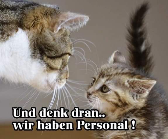 178771974_1213278199126484_7767460886091999634_n