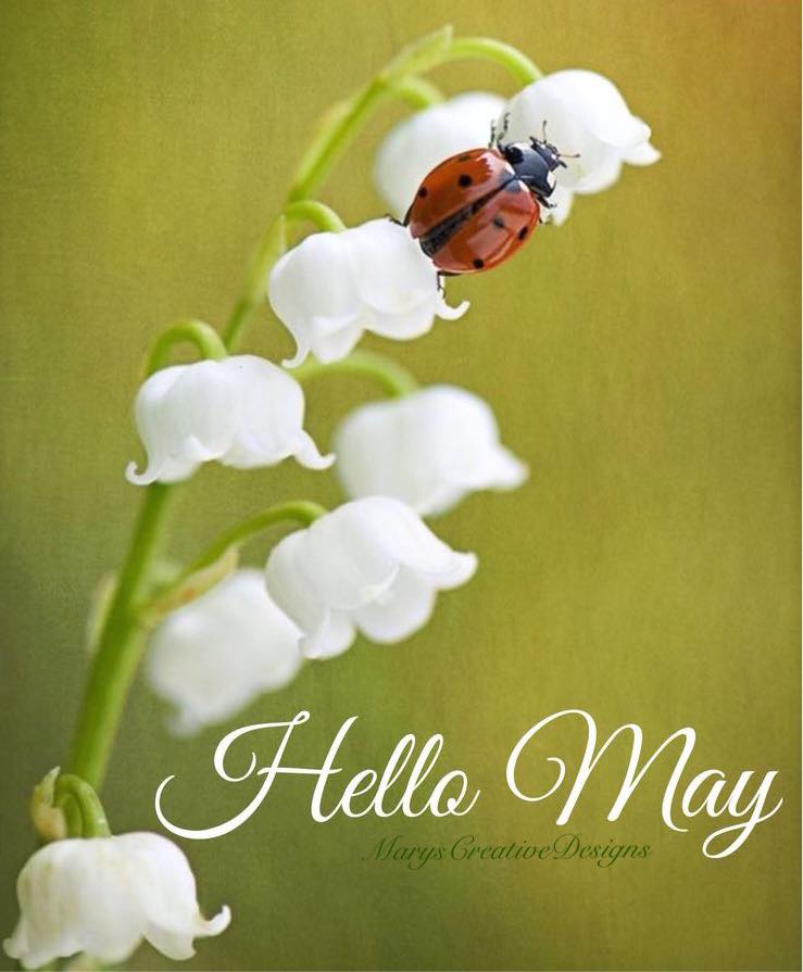 179361421_2897741787130286_2350888583603955873_n