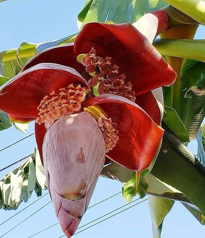 179392797_1214890432298594_4787586800358135897_n