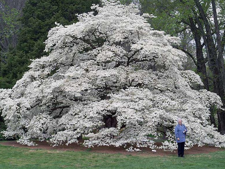 179810174_3970486746371062_3341487263944461709_n