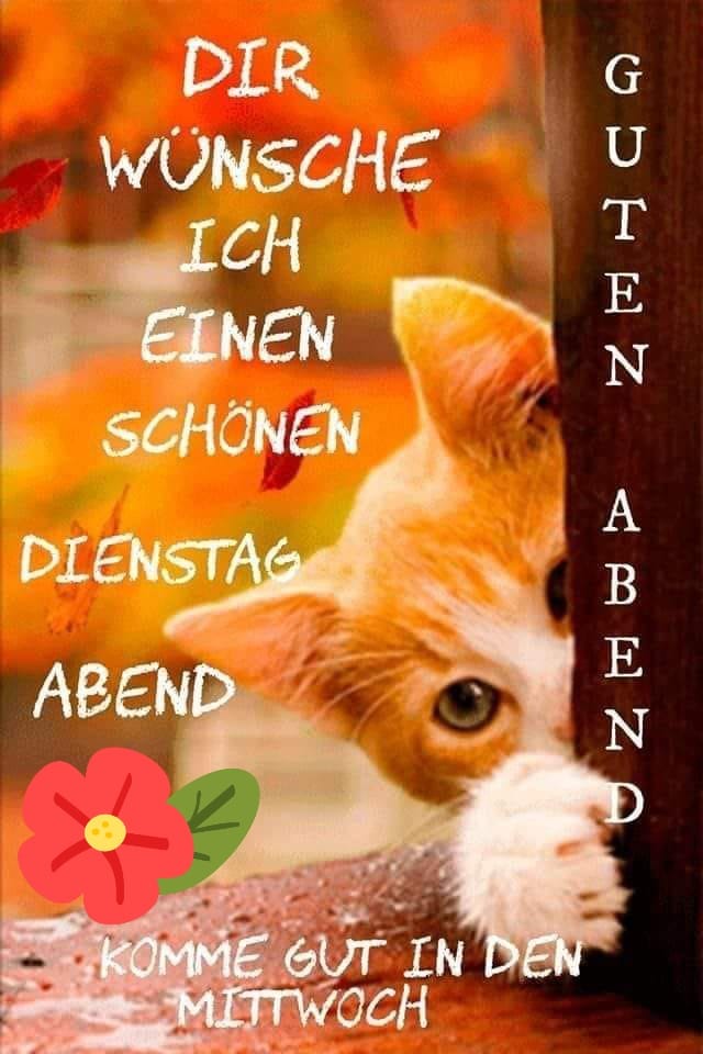 179830740_1214139375707033_9114797344235937274_n (1)