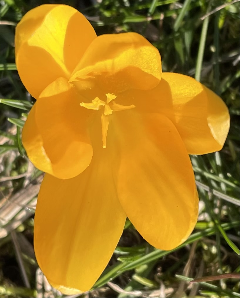 17C0FC45-A6F1-4E04-9192-74691179B3CE