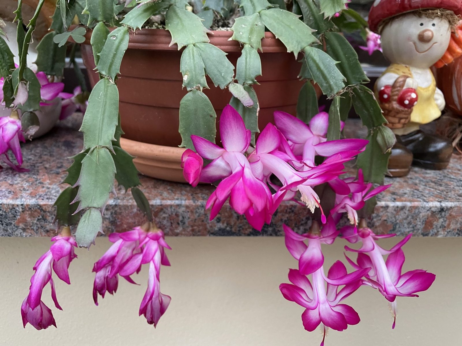 17C46153-DDA5-4160-8E0C-524EEE3E7BCB