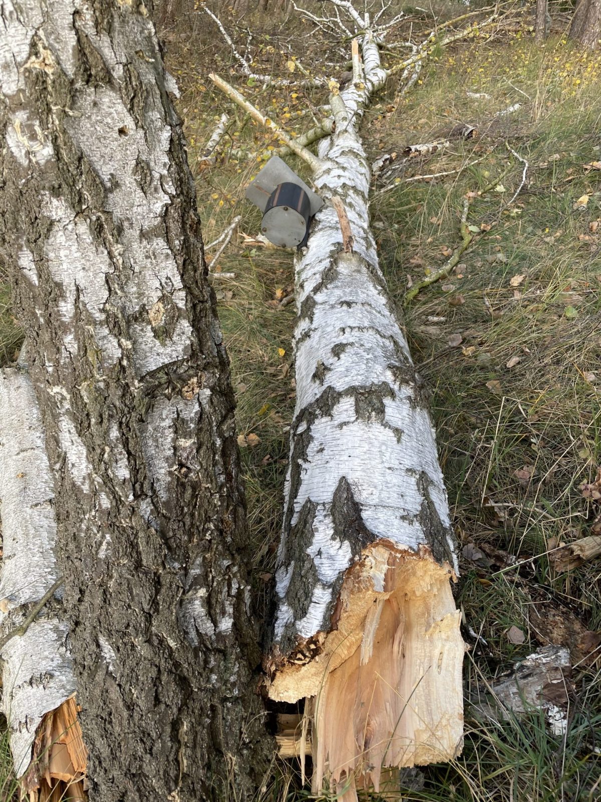 17D77B54-F046-41F6-8EAA-910F3CE895DF