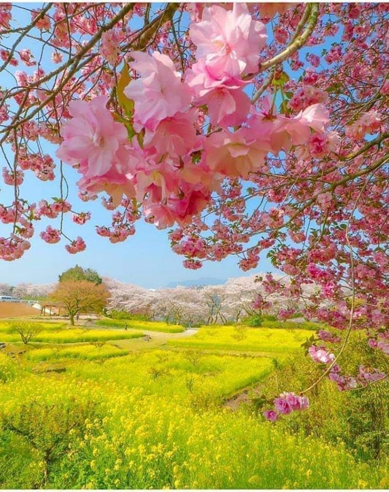 180019594_497613421277937_7927998872616114804_n