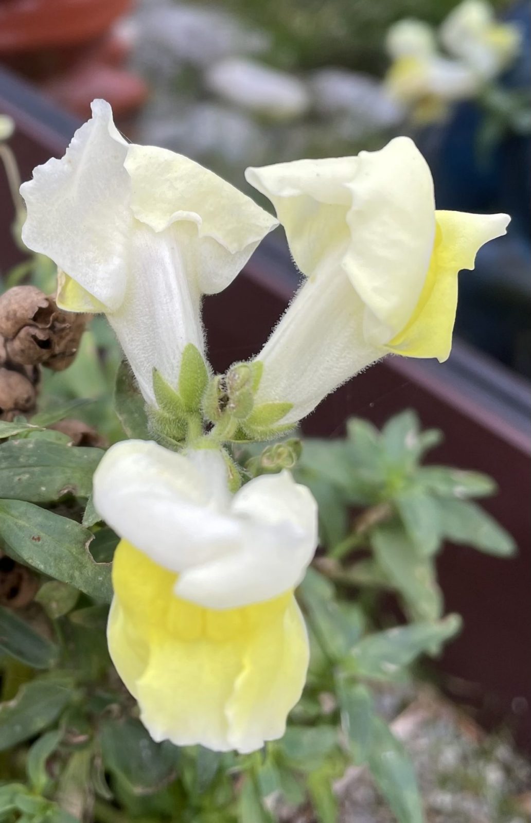 18016F70-B427-4E45-85E6-FAFE550E6EBD