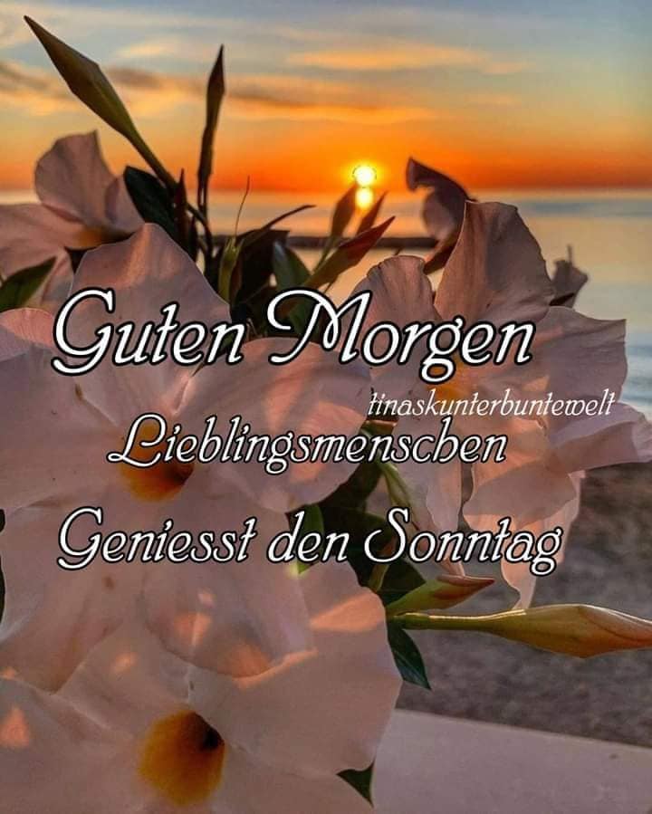 180446627_276587247520925_7479335130601421591_n (1)