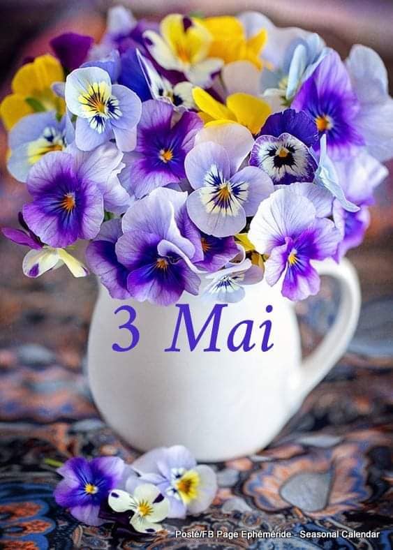 180928605_479253050070275_1358299405324896575_n (1)