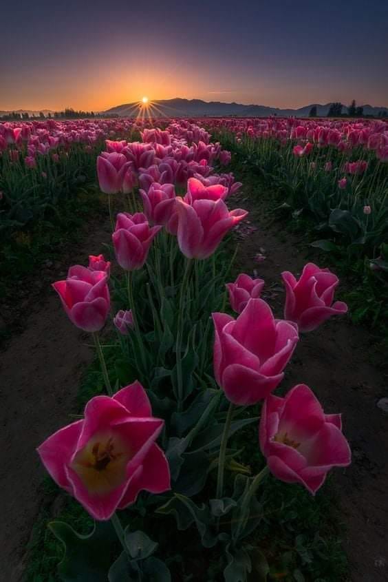 180961346_1217476748706629_3594936963894413805_n (1)