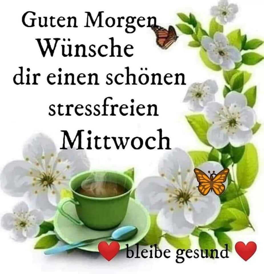 182143578_278464603999856_4417384568387710631_n (1)