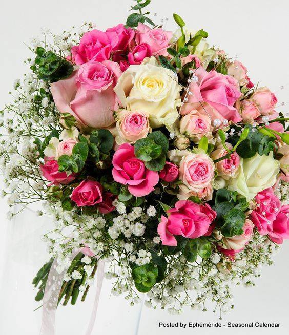 182170238_4195426290507435_8632587887420826847_n