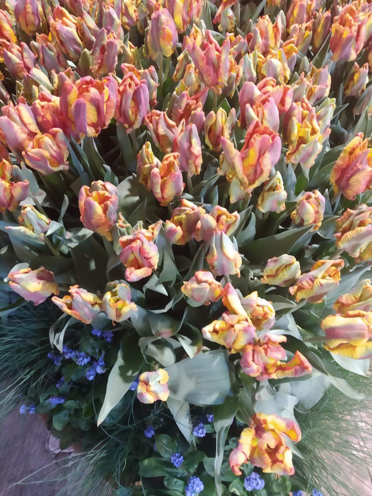 182236B2-DC0D-410C-AEA3-3EC9F94D1F16