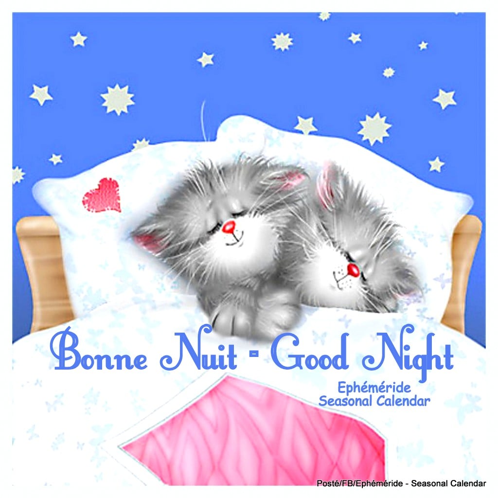 182308425_4200741686642562_945572406165489486_n