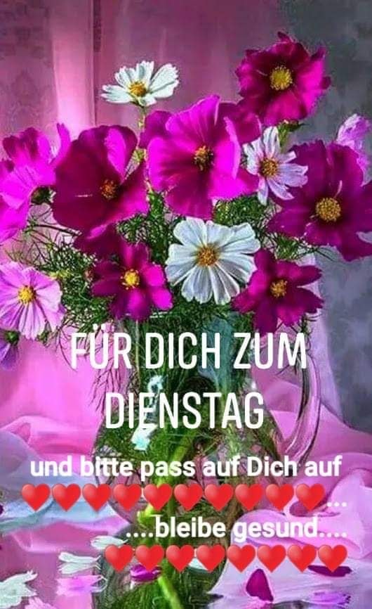 182311222_499232041116075_3616103458424631713_n (1)