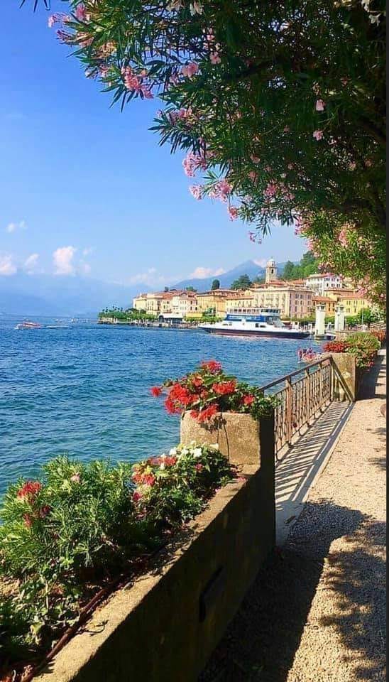 182326454_872051736710825_5517095985546124099_n