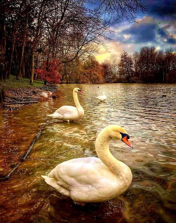 182394447_1219744105146560_1708684631160326512_n