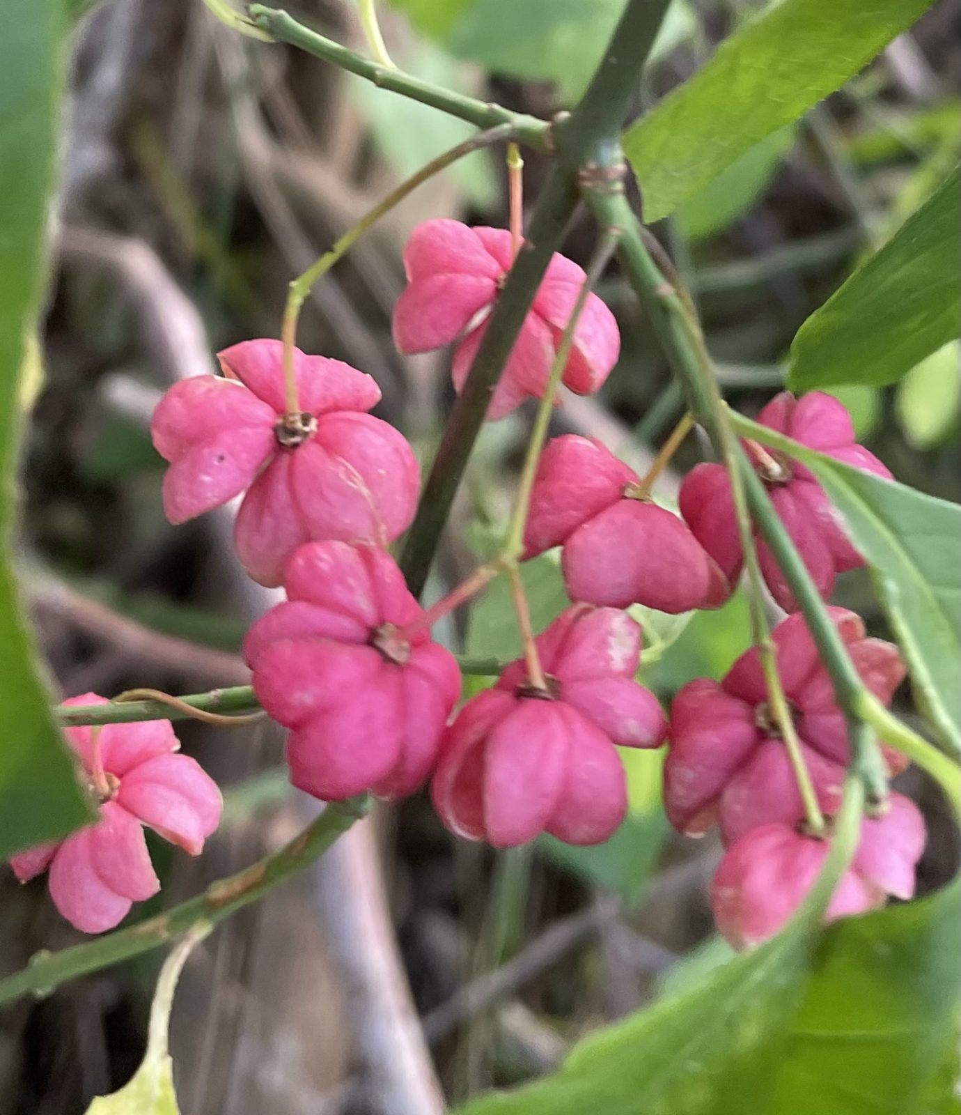 182D20A6-B26F-4C3E-8C87-34A743C0BAF5