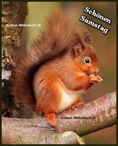 183078082_501391687566777_5480955614531877192_n (1)