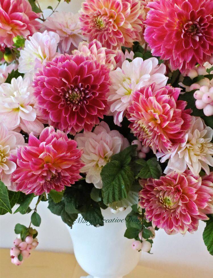 183337315_2904662676438197_2723611866092686834_n