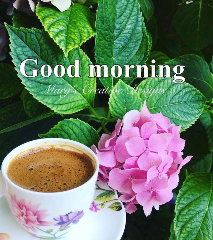 183549820_2906669589570839_1344660511118927371_n