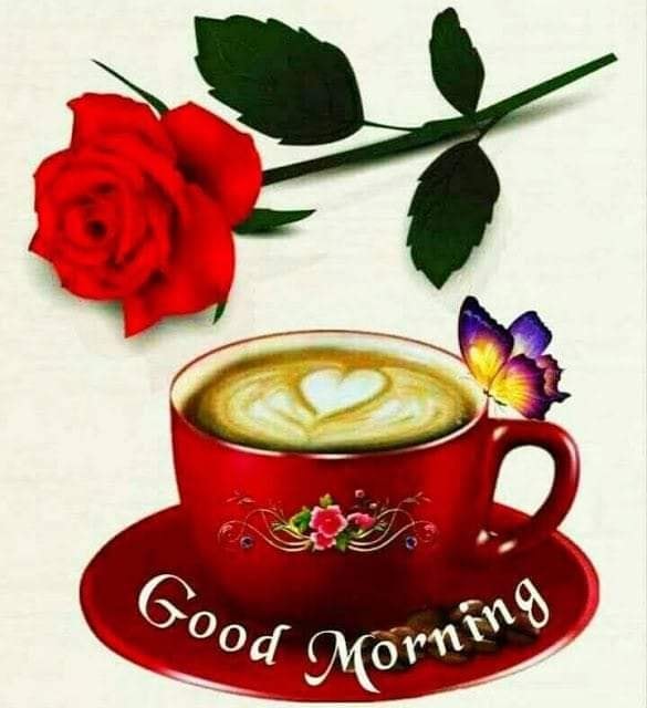 183637627_1003680157039798_2980755658382229297_n