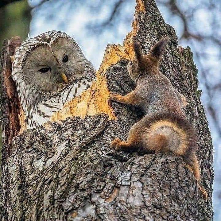 184921010_1223837941403843_7702876125888384018_n