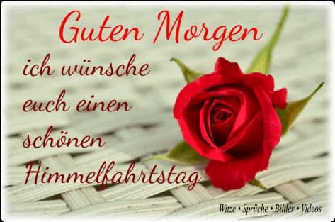 185044527_1228611680905650_4077276534605747813_n (1)