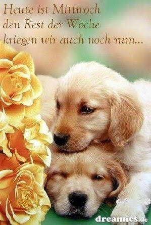 185154105_1005559606851853_9123828815248845572_n (1)