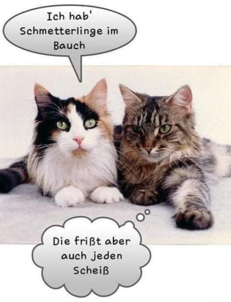 185222325_1223442674776703_6812052626030719980_n (2)