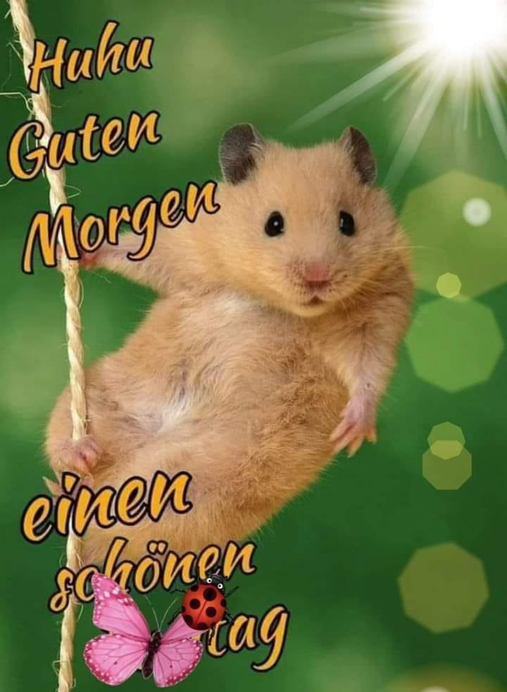 185390021_875983539650978_3326178741539750647_n