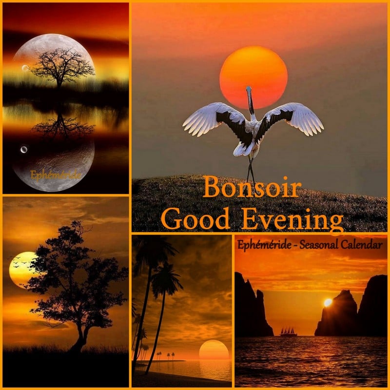 185513394_4225628560820541_7964601035472638891_n