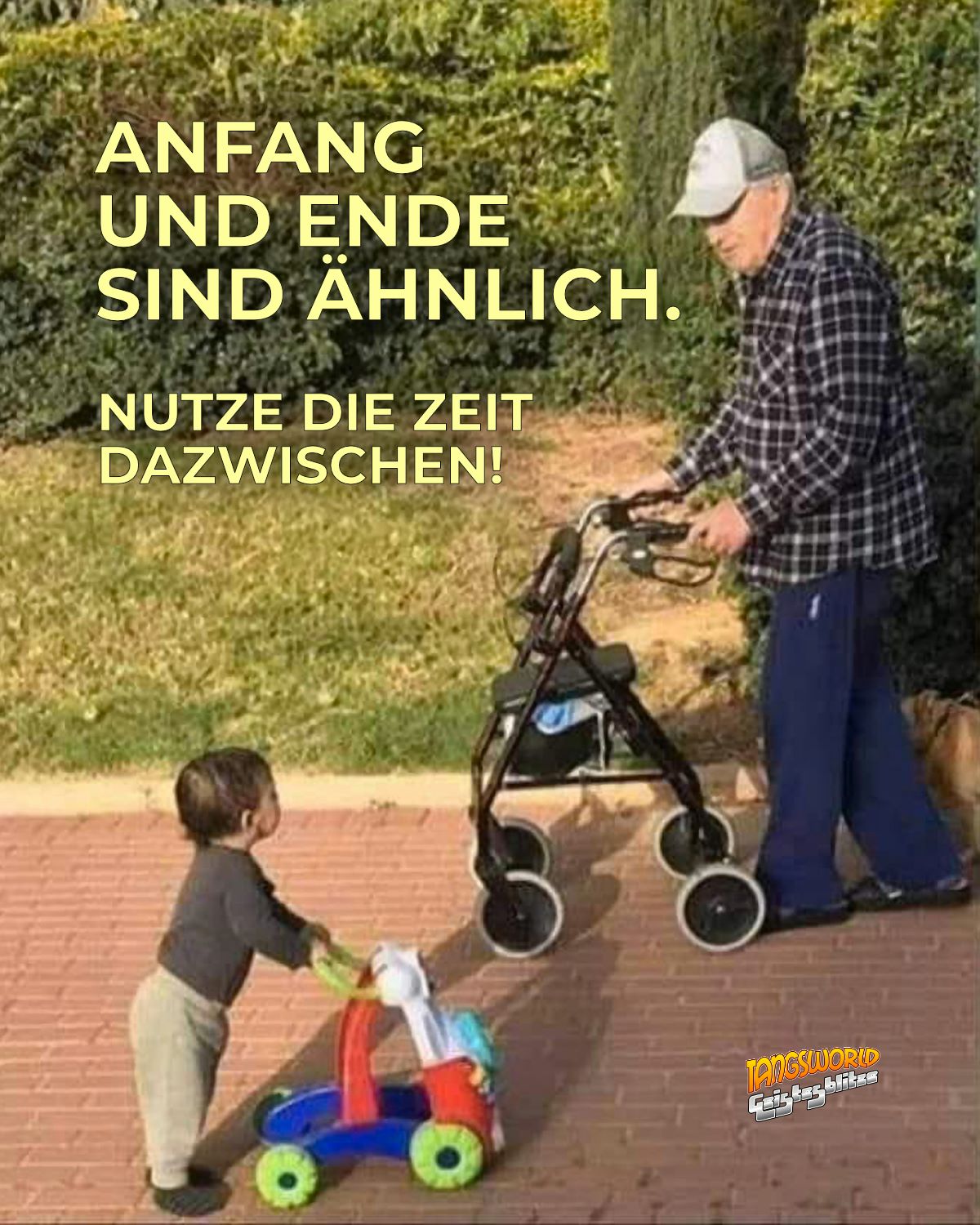 185672836_4098449210177840_1091387246843583747_n