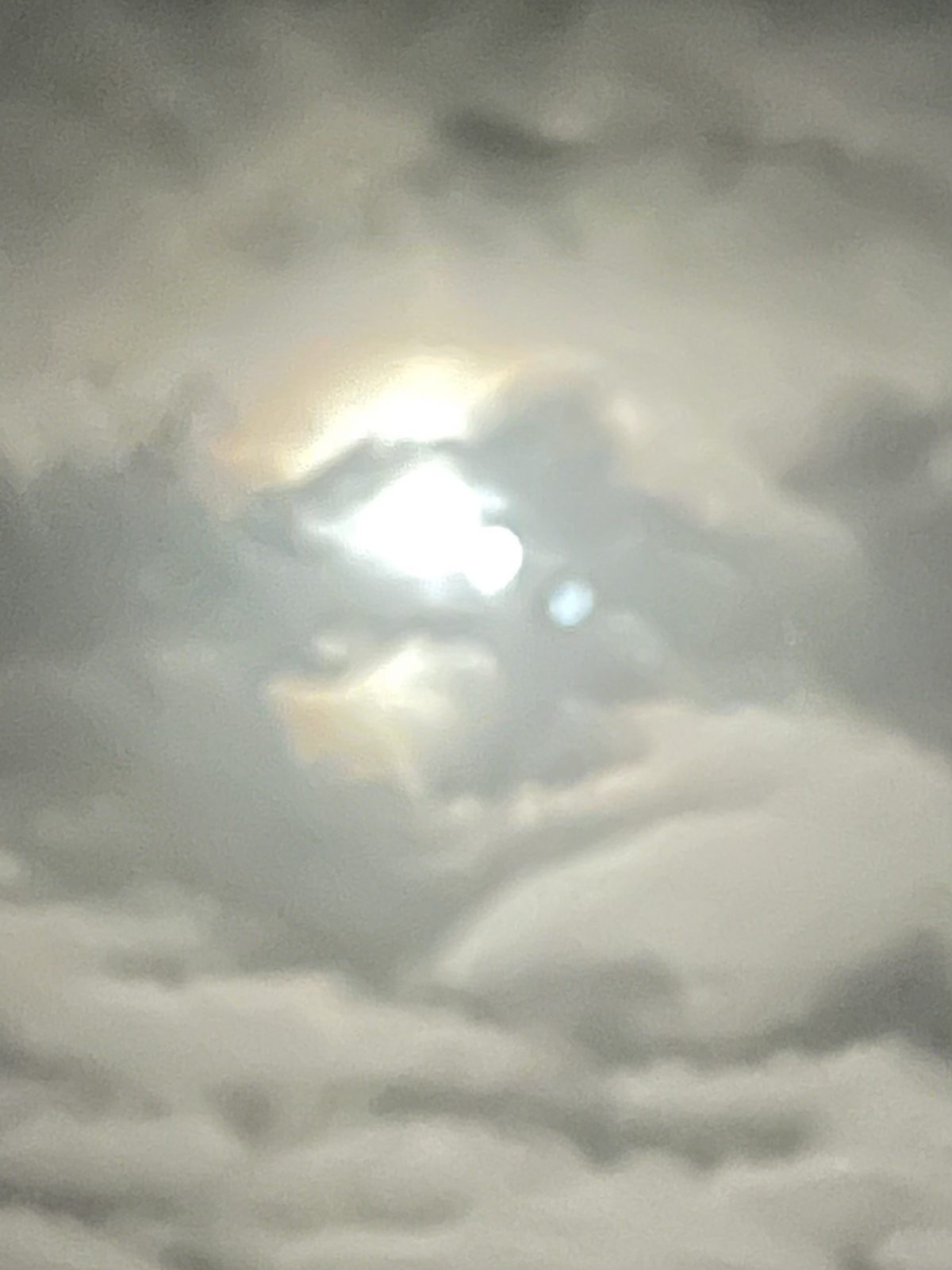 185C75C2-473C-4877-98F2-99896F48FD5E