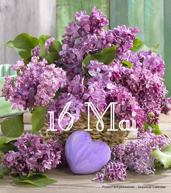 186488183_4235483889835008_776290053363617932_n