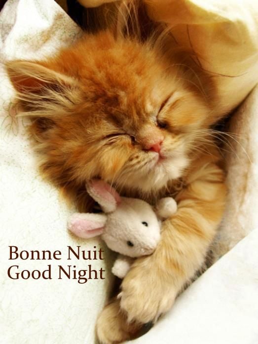 186506421_4229143517135712_5108386136497410050_n