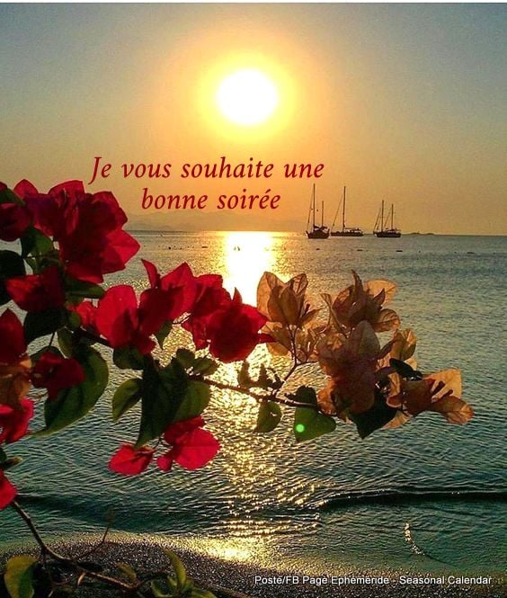 186553410_4240541912662539_8355584200492706764_n